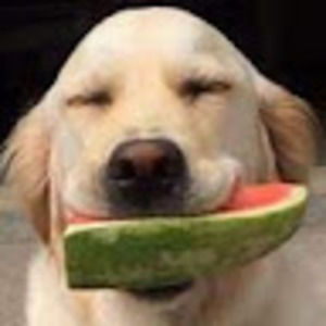 Meet your Posher, Carter